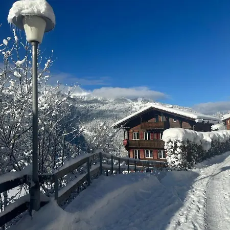 Luegistal Lägenhet Wengen