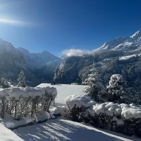 Apartament Luegistal *