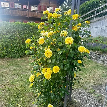 Luegistal *