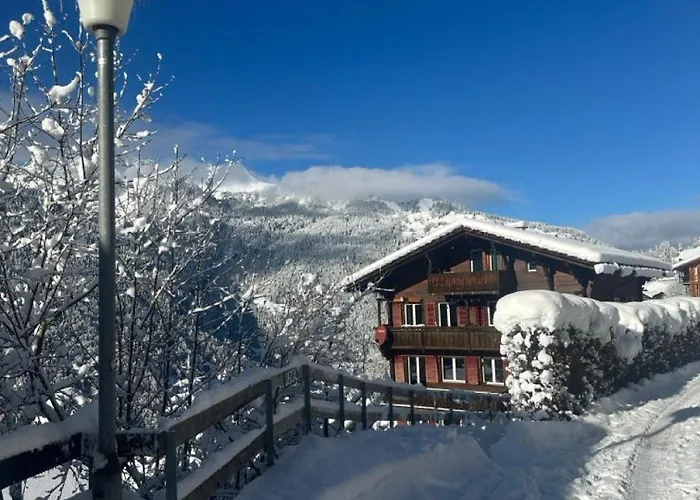 Luegistal Lejlighed Wengen